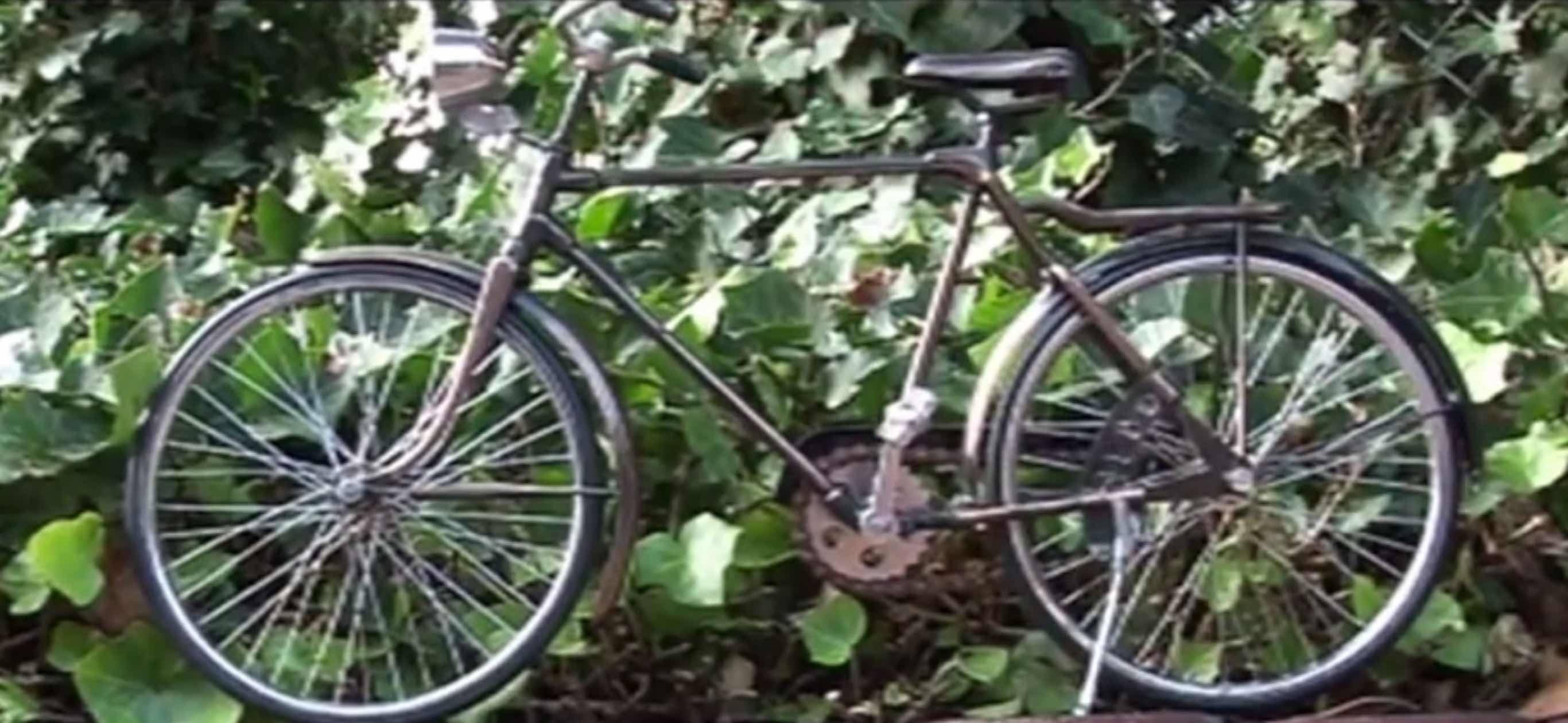 Wenn zwei Beine nicht reichen