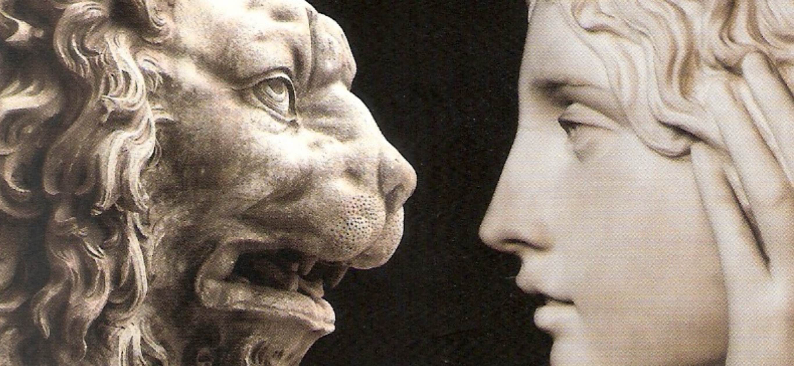 Wenn ich zur Löwenmutter werd ...