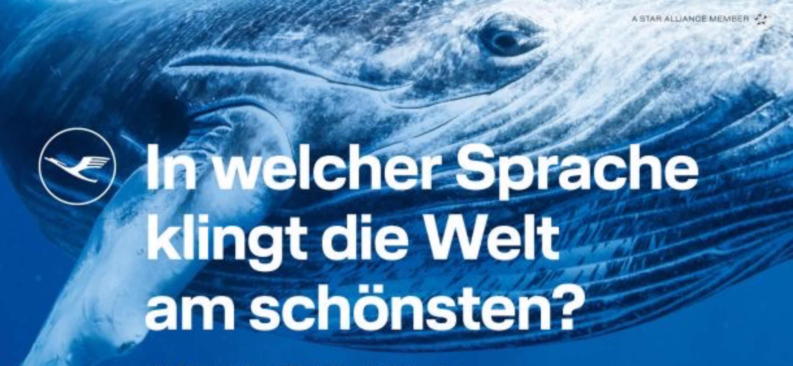 Liebes Lufthansa-Werbeteam,